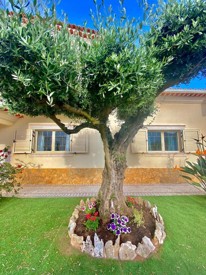 Country house Casa Laranjeiras